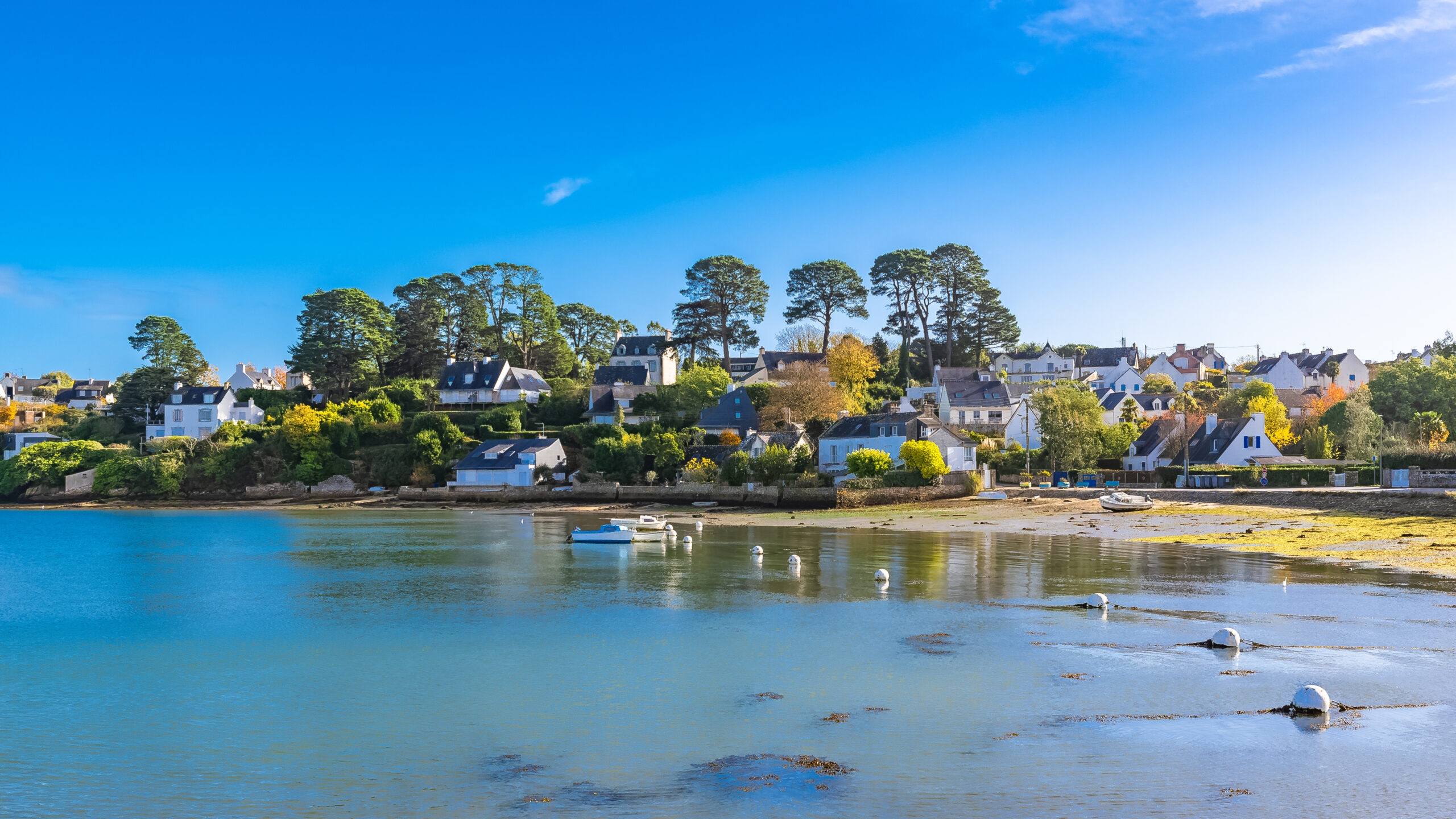 Photo du Morbihan